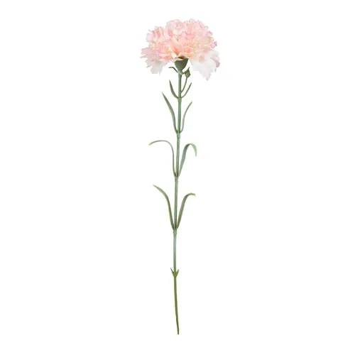 Karafiát – vetvička 53 cm light pink GK700 